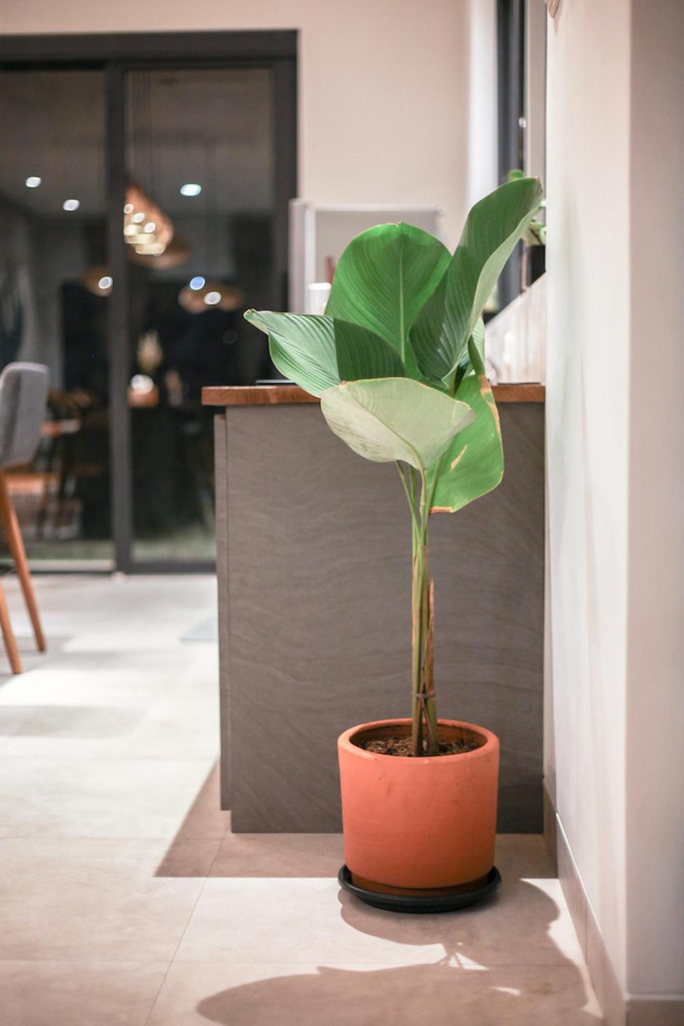 万隆The Banyu House 3别墅 外观 照片
